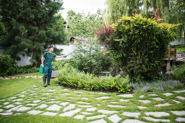 Best Pest Prevention Services  in Graton, CA