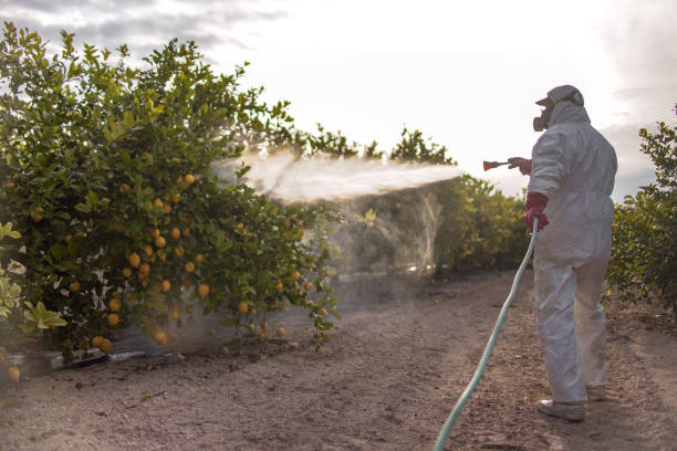 Wildlife Control Services in Graton, CA